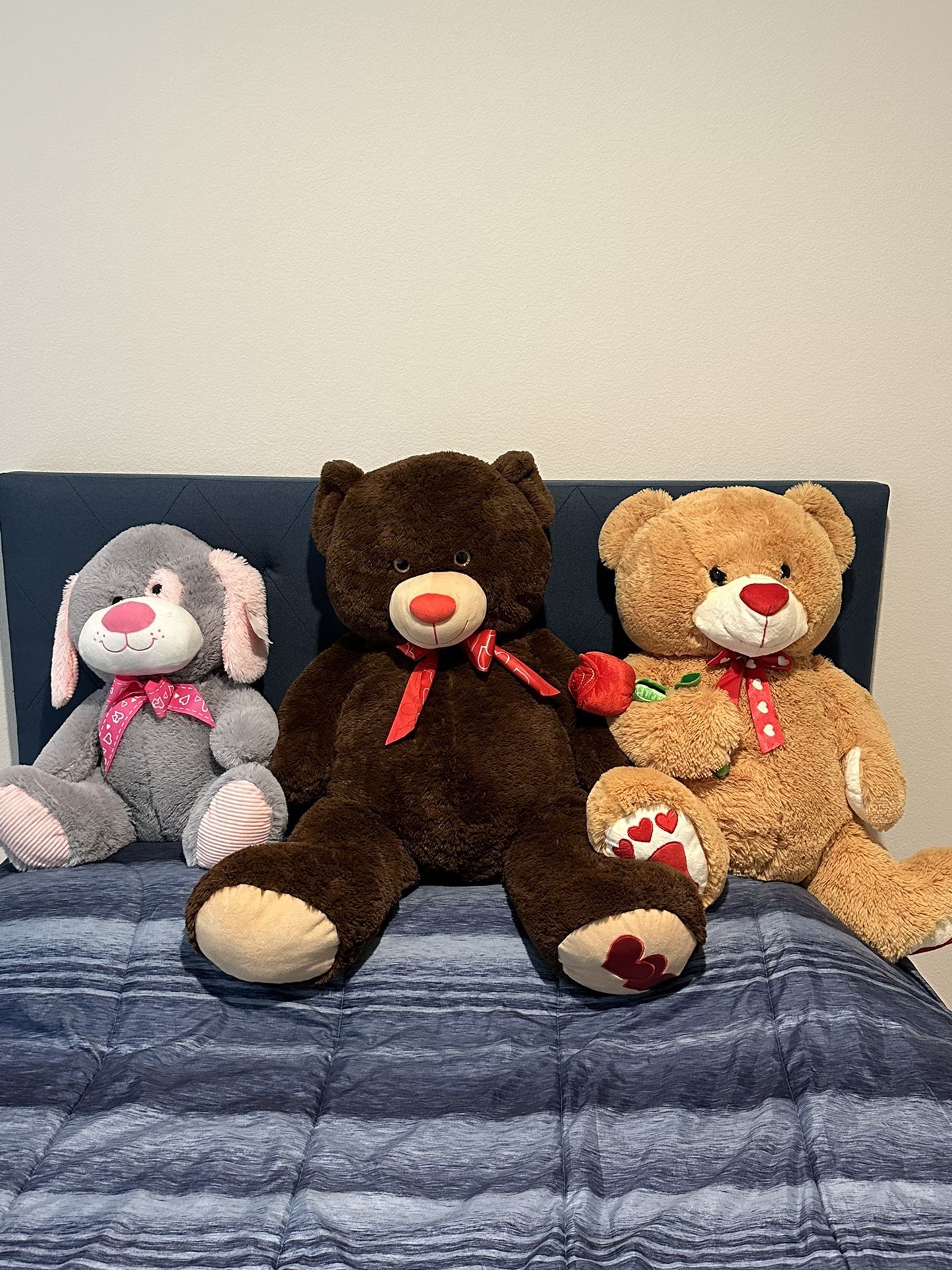  Teddy Bears