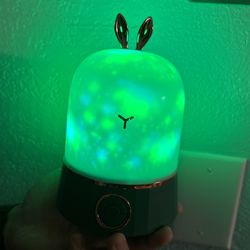 Projection Lamp