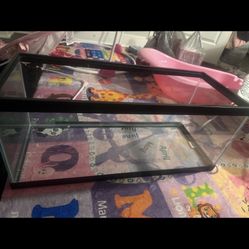 20 Gallon Aquarium 