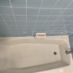 Tub (Cast Iron)+Toilet Commode 