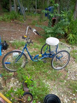Trike