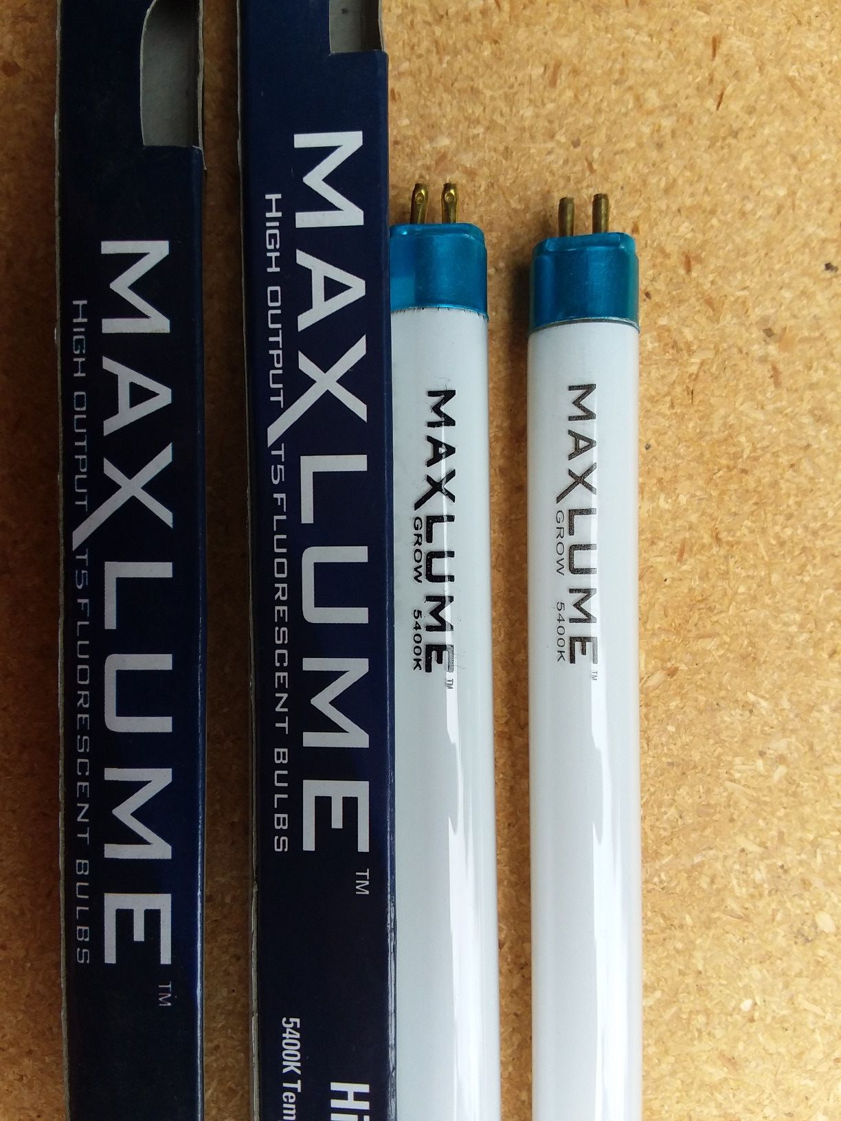 2 high output T5 fluorescent fixture bulbs 2 2' cool maxlume