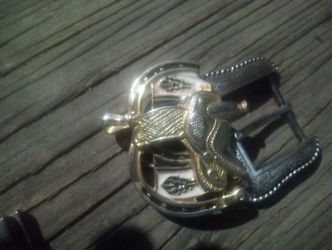 Evillas para cintos