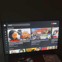 60 Inch Vizo TV