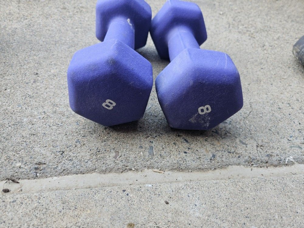 8lb Dumbbells