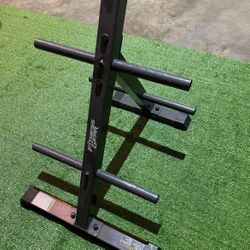 Fitness gear Weight Tree Holder