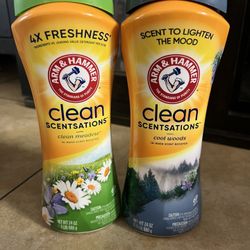 arm & hammer 