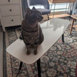 Small White Coffee Table