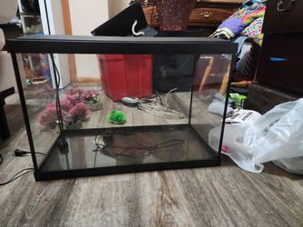 Fish Tank With Heater, Filter And Pads, Cleaning Hose And Cleaning Magnet, Decor, Bubbler, Rocks, Bucket