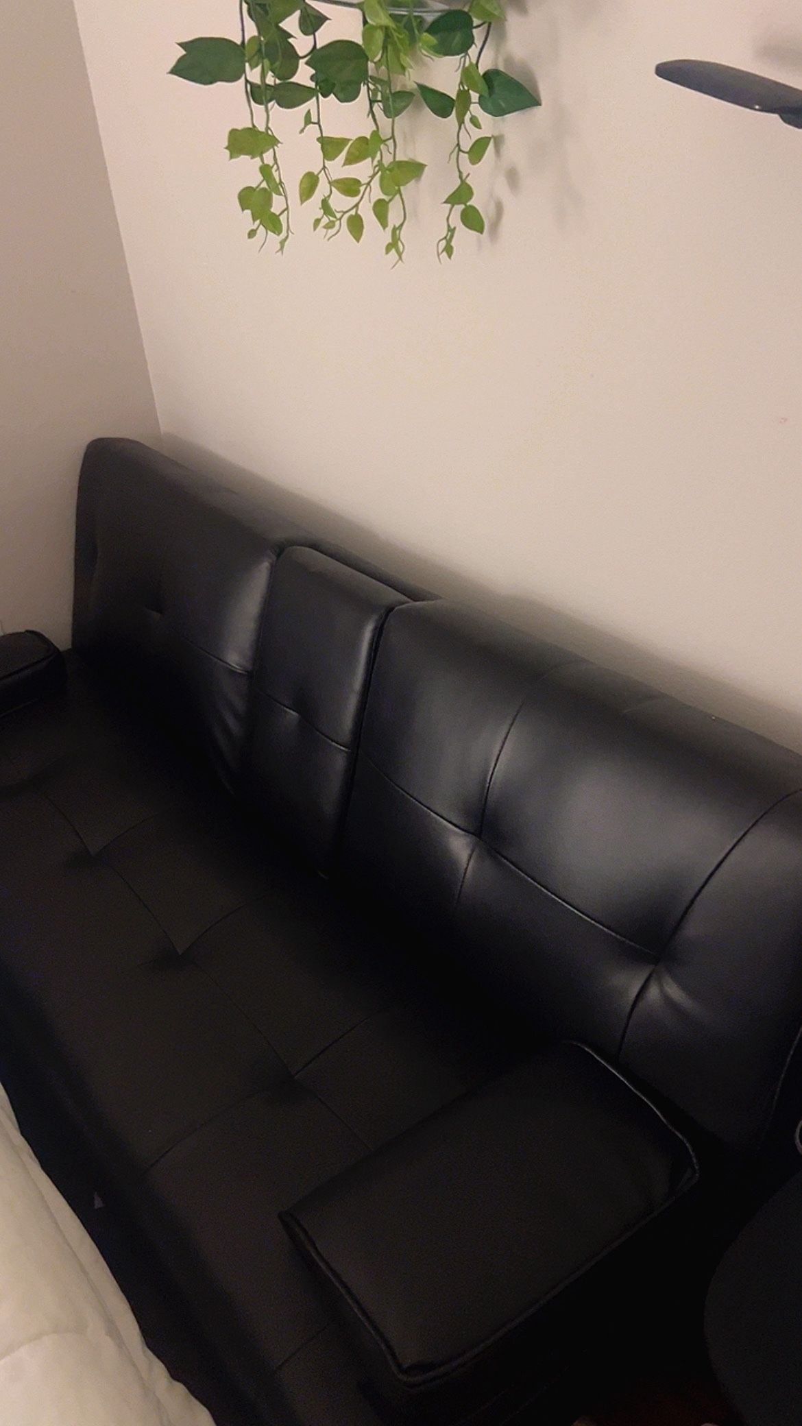 Leather Retractable Sofa