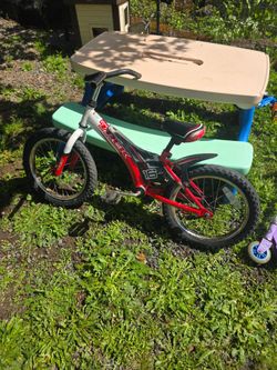Bike 16 in