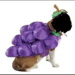 NEW dog Halloween costume 2 piece "bunch of grapes"  medium 18" 15-30 lbs $5 FIRM