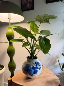 Plant
