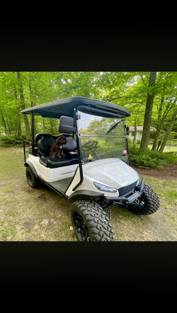 2024 Fast Cat Racing Street Legal Golf Cart - Excellent Condition, 12 Miles - Plymouth, NH
