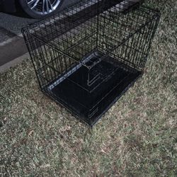 Kennel