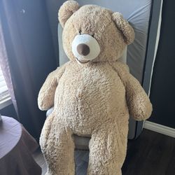 GIANT BEAR