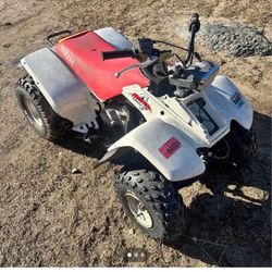 Yamaha Yfm80 Moto4 Quad