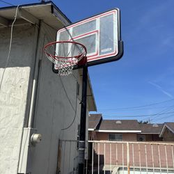 Portable Basketball Hoop 