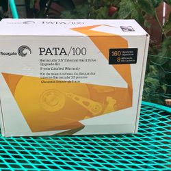  Internal Hard Drive Seagate Pata/100 160 Gigabytes