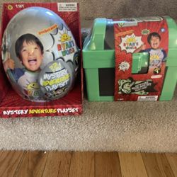 Ryan’s world eggs and chest box