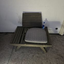 Pool Lounge/ Patio Chairs