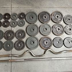 Weights + Barbelll & Curl Bar