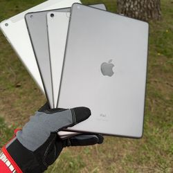 iPads 5 / 6 / 8 / Pro