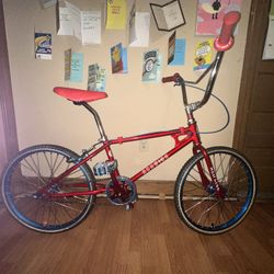 1979 Swchinn Scrambler 