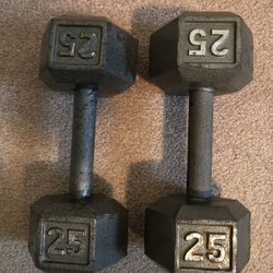 25lb Dumbells 