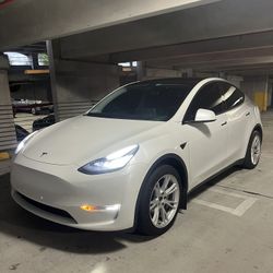 Tesla Model Y-2021 
