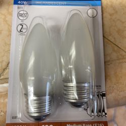 40w Incandescent Frosted Bulbs NEW