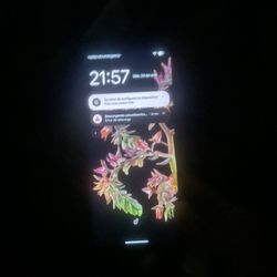 En Buenas Condiciones 