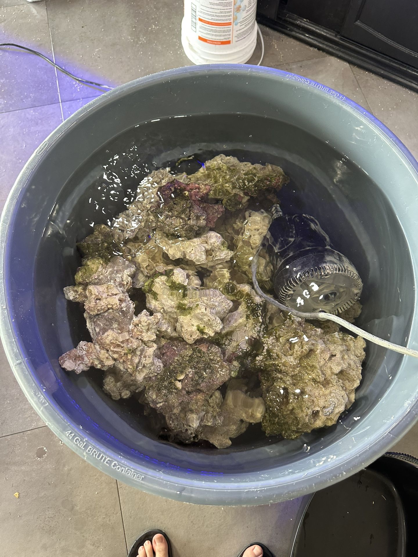 Live Rock For Reef Tank