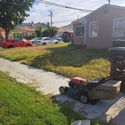 Affordable Gardening 