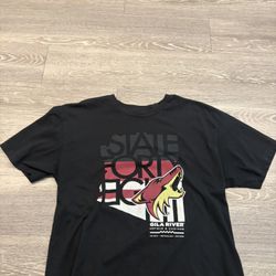 vintage arizona coyotes t-shirt large