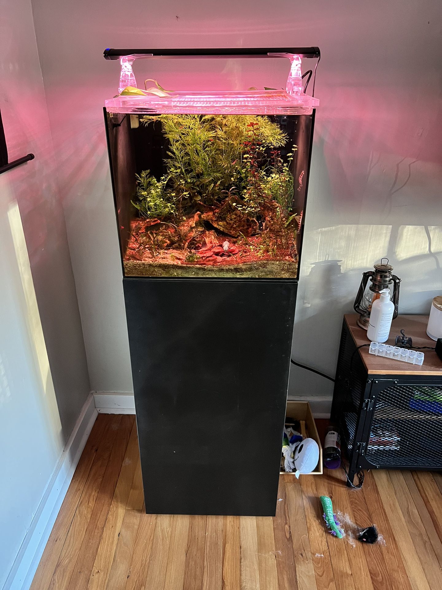 Waterbox Cube 20 Aquarium With lid And Stand