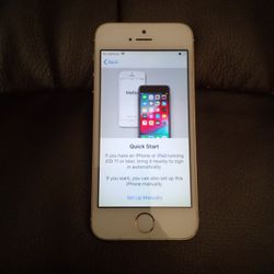iPhone 5s (Apple ID Locked)