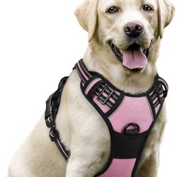 rabbitgoo Dog Harness No Pull with 2 Leash Clips