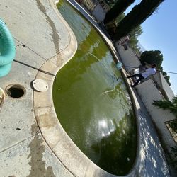 Pool Filter