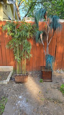 beautiful fake plants