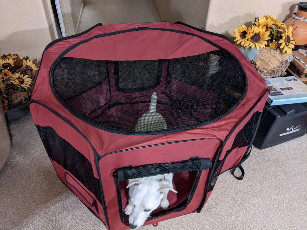 Soft Side Fold Up Pet Travel Light Playpen Dogs Cats Rabbits And More Removable Top And Bottom Folds Flat For Easy Storage Perfect For Camping 