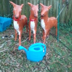 3 Vintage Outdoor Cracker Barrel- Like Reindeer...Have 2 Sets Of Antlers . Lights Might Still Work. Beautiful As Is Though!! Don't Want To Let Them Go