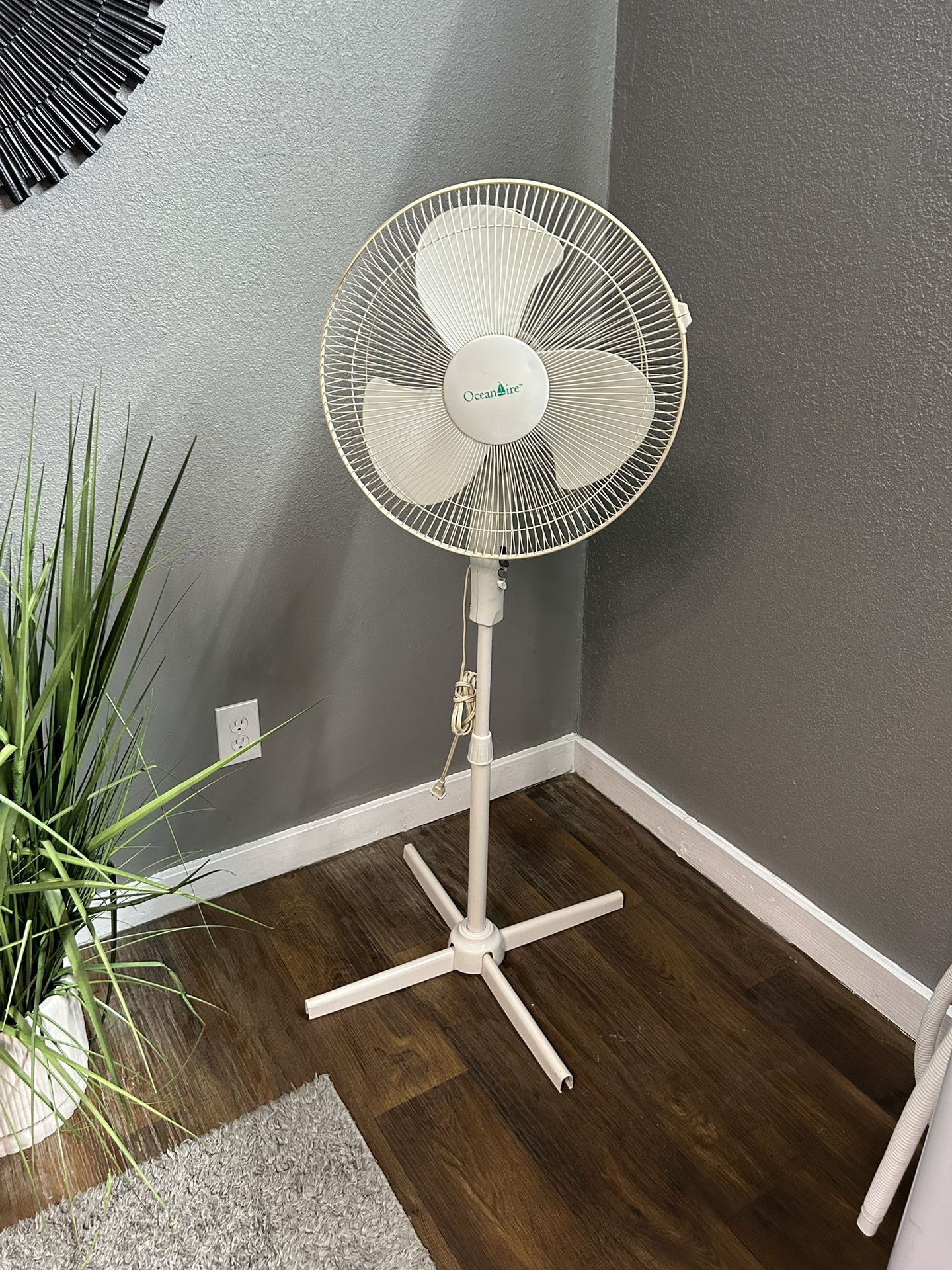 White Fan