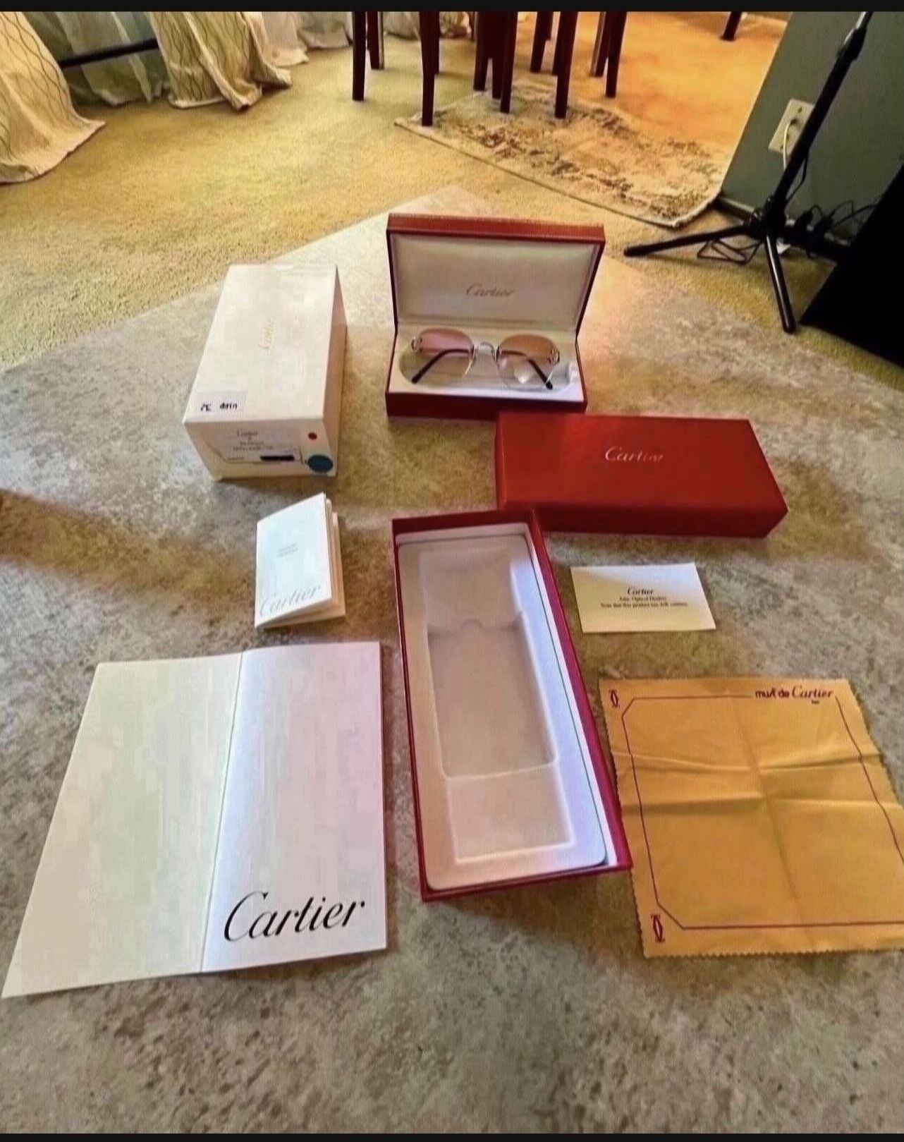 Vintage Cartier SunGlasses Mid 1990 /2000 100% Authentic Platinum Frames