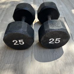 25 Pound Dumbbells
