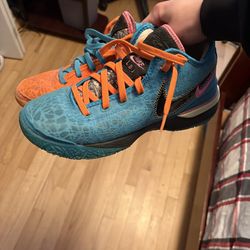 Nike Zoom LeBron NXXT Gen'I promise ‘ 8.5