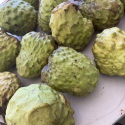 Fresh AP Atemoya Fruits
