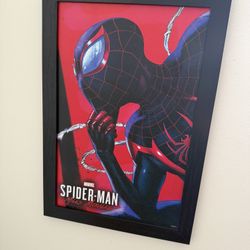 Spiderman Wall Frame 
