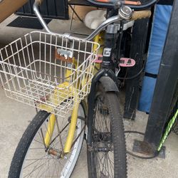 Beach cruisers