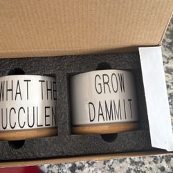 New Set Of Succulent Planter Pots For Plants